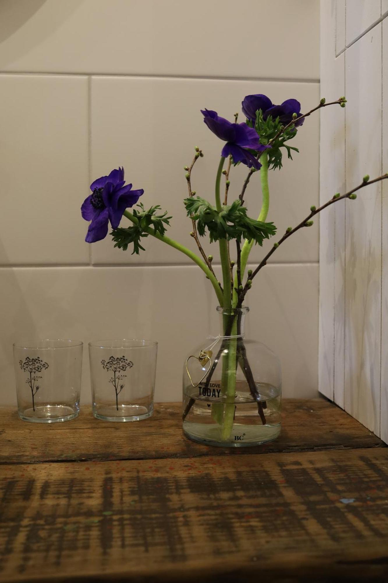 Iris'T; Dijkhuisje In De Polders Van Groede. 빌라 외부 사진